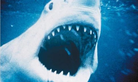 映画「ジョーズ／JAWS」のフル動画を無料で視聴する方法